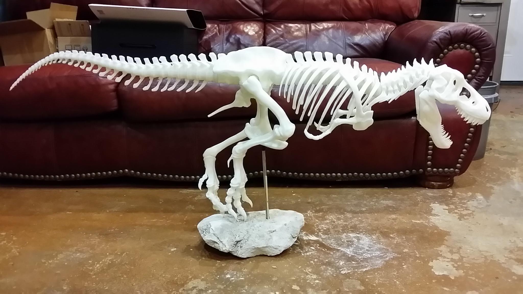 3D Printed TRex Skeleton 3 Degrees Askew